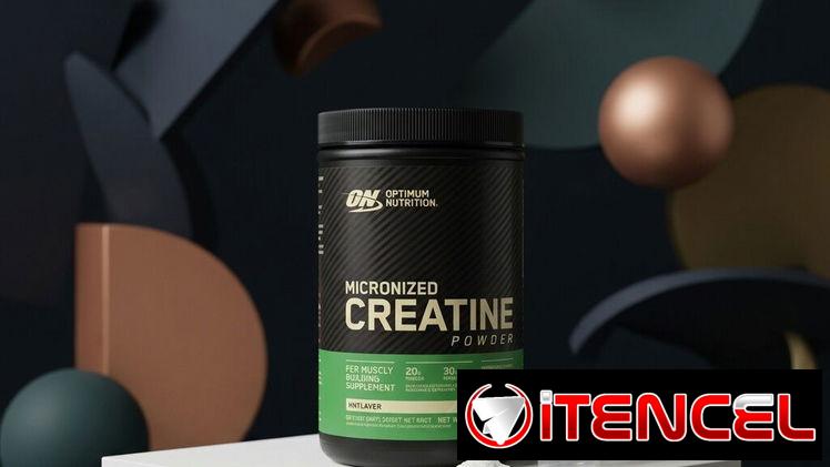 Creatina ON 120 servicios.