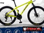 Bicicletas de montaña y de paseo