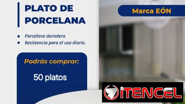 Platos de porcelana