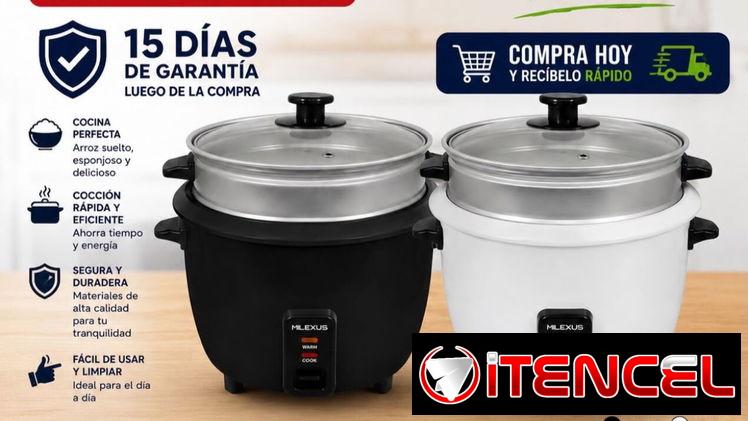 Arrocera milexus