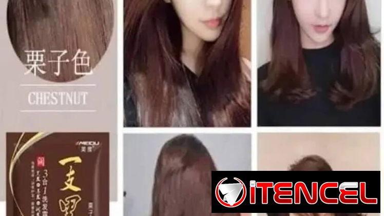 Shampoo TINTE NATURAL de JENGIBRE Carmelita