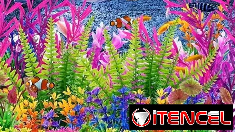 Variedad de accesorios para peceras