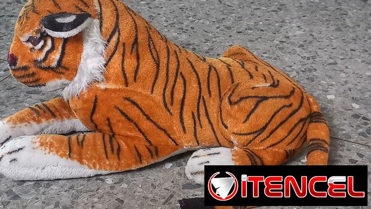 Peluche