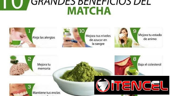 Té verde matcha japonés