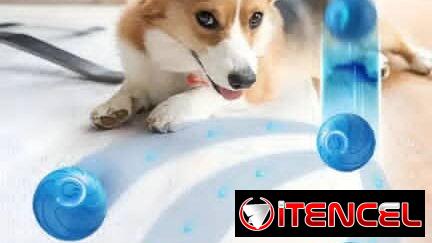 Pelota interactiva recargable para mascotas