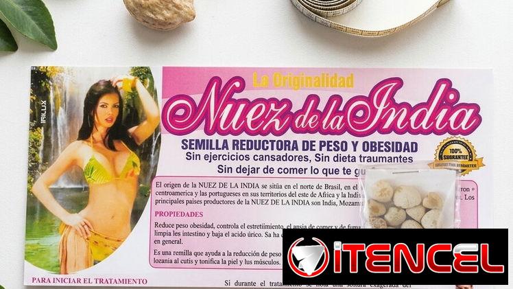 NUEZ DE LA INDIA 🧘🧘🧘🤷💪💪💪🔥🔥🔥