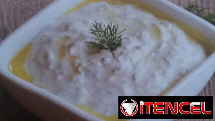 Kefir/ Leche de Chiva/ Yogurt griego