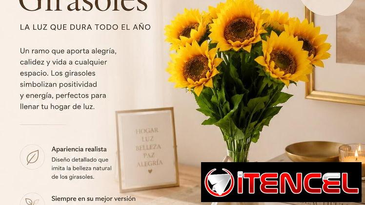 Girasoles