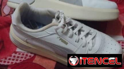 Tenis pumas
