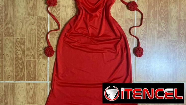 Vestidos largos de rosas