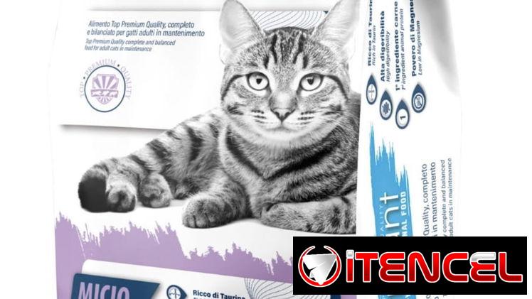 Sacos de 15kg para gatos. Pienso importado de calidad!