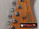 Guitarra Eléctrica Fender Mexican Standard Strat HSS, Relic Finish 2000-2001