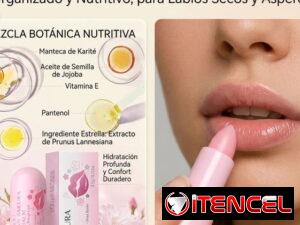 9f13c757a3fa35be2af640262791b78139f5aa3c694ef1e469862c23bdae78e8