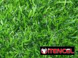 🌱LO MEJOR DE CÉSPED SINTÉTICO O ARTIFICIAL ⚠️  MÓVIL:📲  Wa.me/+5353022785  🥵‼️Lo que ves es lo que compras ‼️🥵