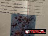 Cuadro del pintor cubano José Mijares con su certificado de autenticidad.
