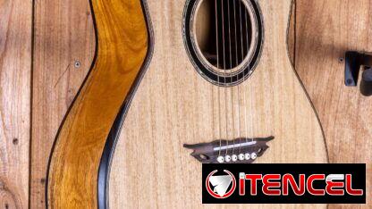 Guitarra con forma personalizada: tapa de glelina, fondo y aros de yaca.