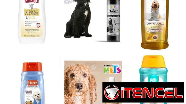 Champú para Mascotas
