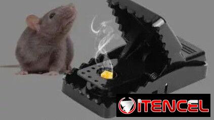 Ratoneras de varios tamaños. elimina plagas