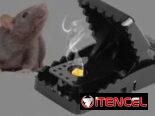 Ratoneras, varios tamaños para escoger