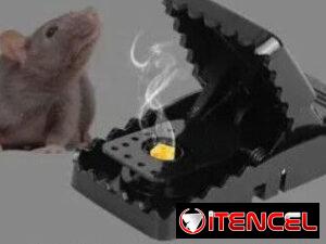a06f9a0a818fcbba1b342661065dd38786d1e4c894eebfed4cf5ad2bb1b78974-2