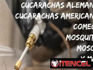 a09ba41a074ada829dc38507c46daff870f52607b1bebfce150d6b1342dd135c-2