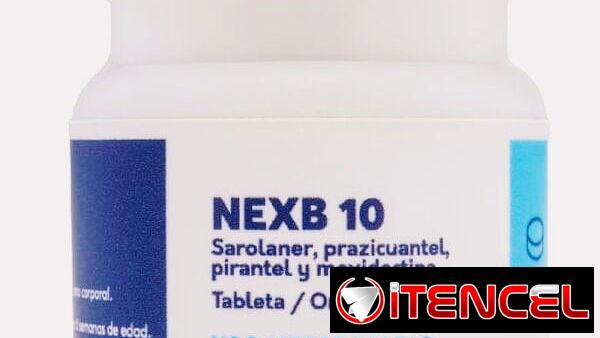 NexB10 pastilla para eliminar pulgas, garrapatas y parásitos internos en perros