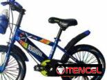 Bicicleta con cesta