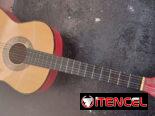 Se vende guitarra de uso bien cuidada