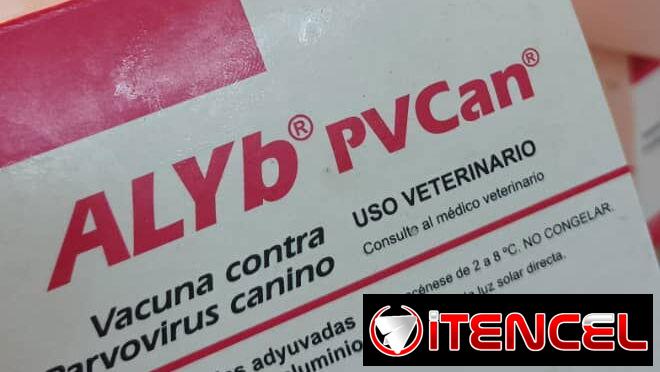 Simparica y vacunas – Adrian’s Pet Shop – Salud y cuidado animal (Kinetica)
