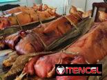 ¿Ya recibiste en casa un sabroso cerdo asado con gorrito?