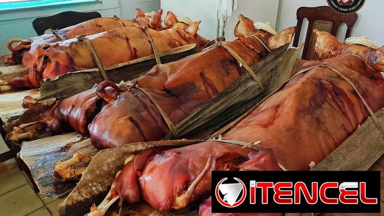 ¿Ya recibiste en casa un sabroso cerdo asado con gorrito?