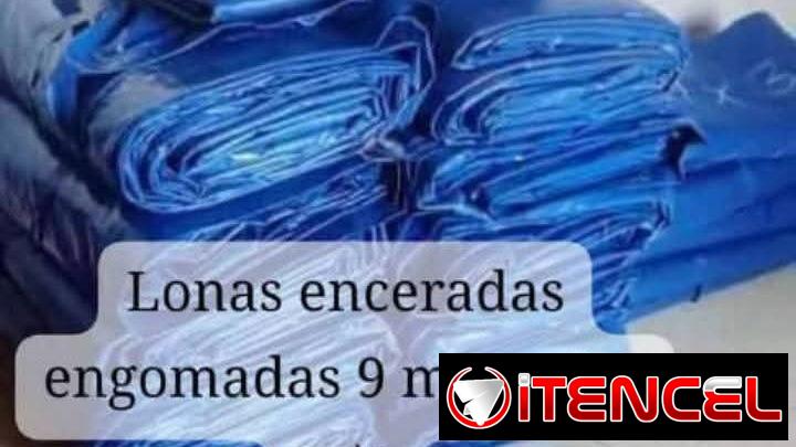 Lonas