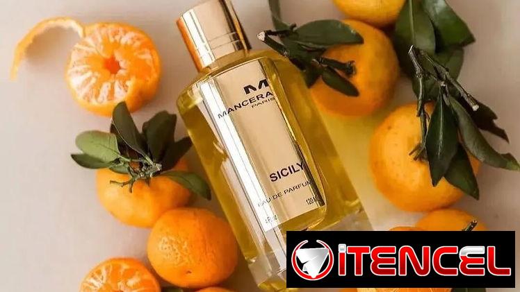 PERFUMERÍA / PERFUMES ORIGINALES / PERFUME NICHO VEDADO