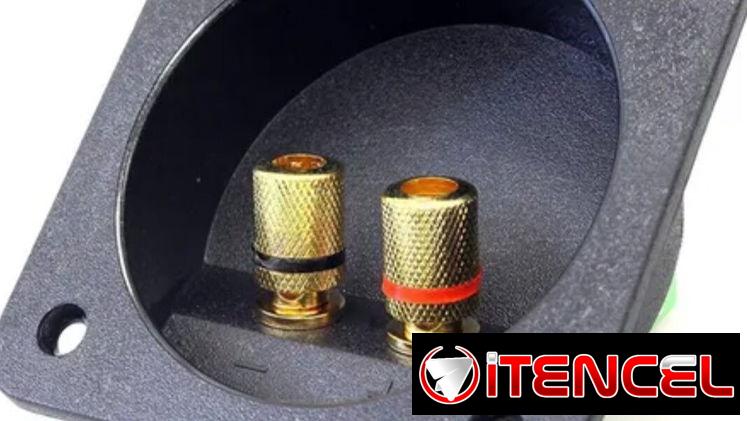 Conectores traseros ( pareja ), para altavoces