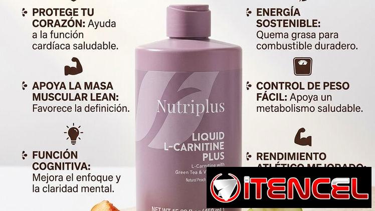 L-Carnitina