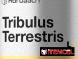 ⚡️Creatina monohidratada y Tribulus Terrestris Optimum Nutrition y Horbaach