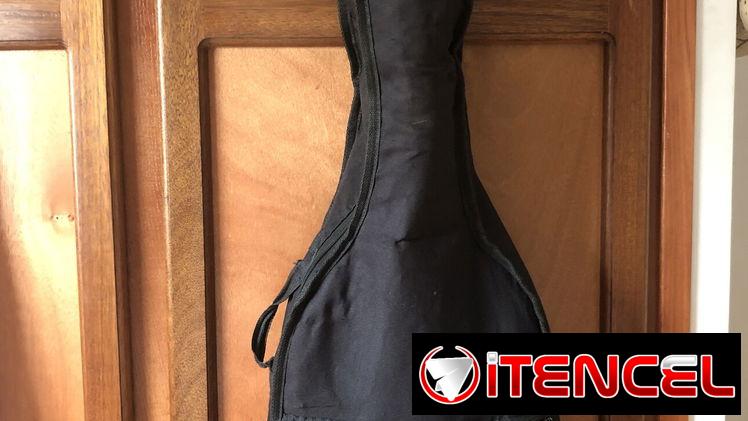 Guitarra Waldman electroacústica