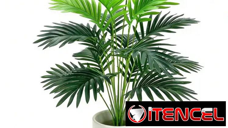 2 espigas de Arecas artificiales