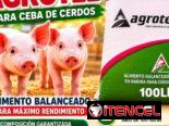 Vendo piensos para puercos y gallinas ponedoras 56 70 29 86