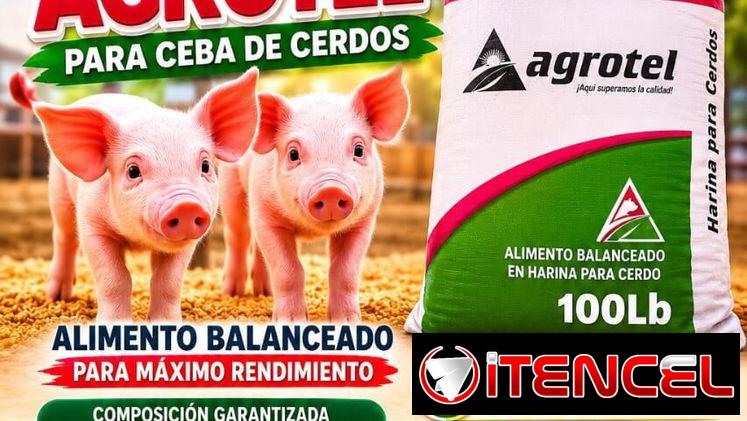 Vendo piensos para puercos y gallinas ponedoras 56 70 29 86