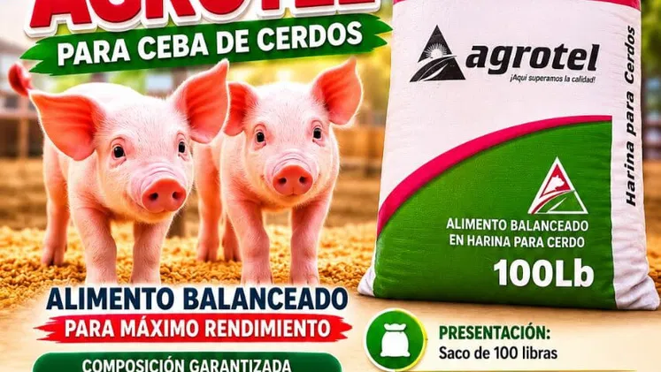 Vendo piensos para puercos y gallinas ponedoras 56 70 29 86