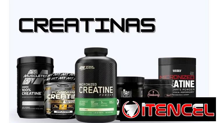 Creatinas buenas y al mejor precio