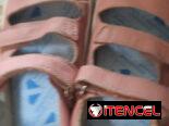 Vendo zapatos de niña y mujer