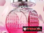 Perfumes Claar Essenza Perfumería