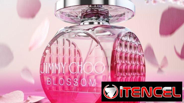 Perfumes Claar Essenza Perfumería