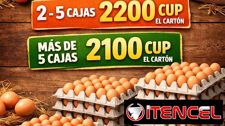 Huevos x cantidad