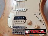 Guitarra Eléctrica Fender Mexican Standard Strat HSS, Relic Finish 2000-2001