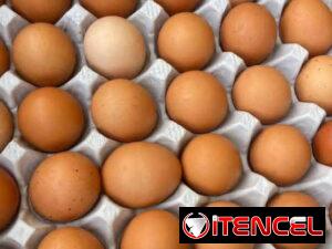 a5a4289d9654431408432d327c0ff2c2c261402cc9aec41f59de5b8e38f3e76d
