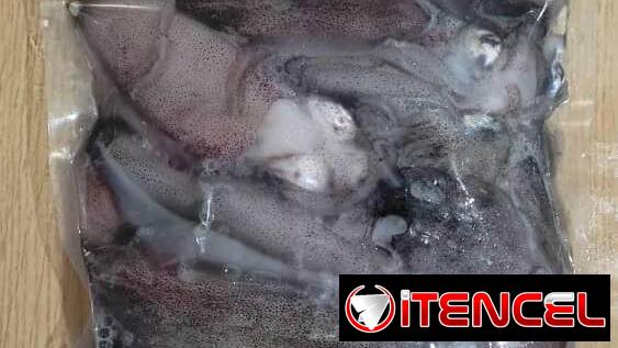 Venta de pescado y mariscos Habana