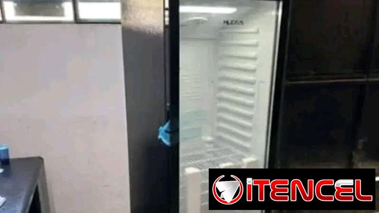 NEVERAS EXHIBIDORAS VERTICAL 13.7 PIES MILEXUS 🔥 Mensajería incluida 🔥